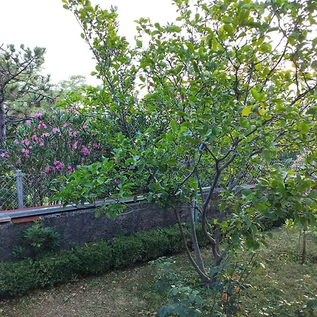 Appartamento With Private Garden And The Terrace Ev Station Available *