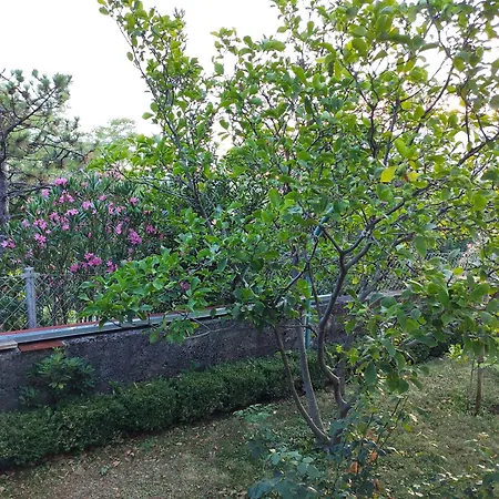 Apartment With Private Garden And The Terrace Ev Station Available *