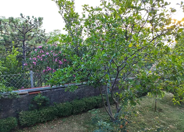 Апартаменты With Private Garden And The Terrace Ev Station Available *